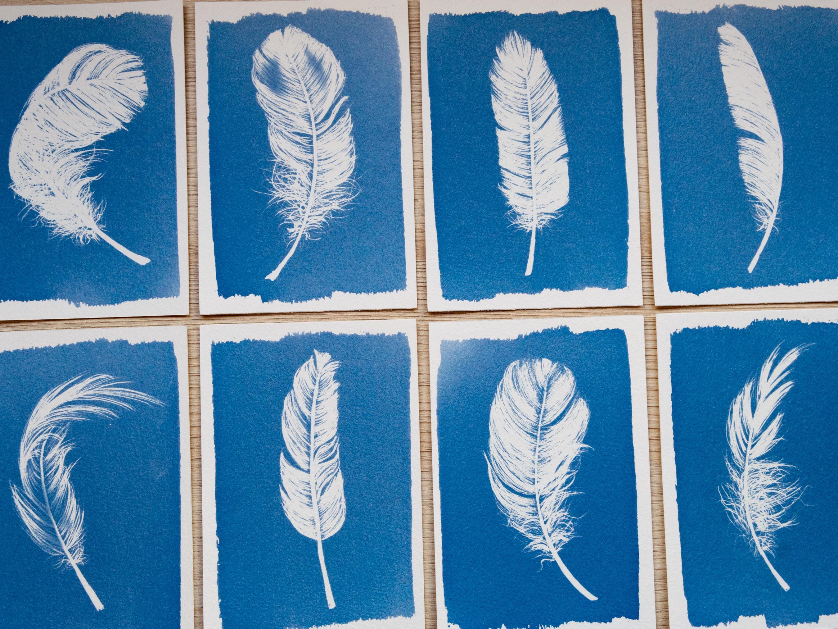 Feathers Cyanotype print