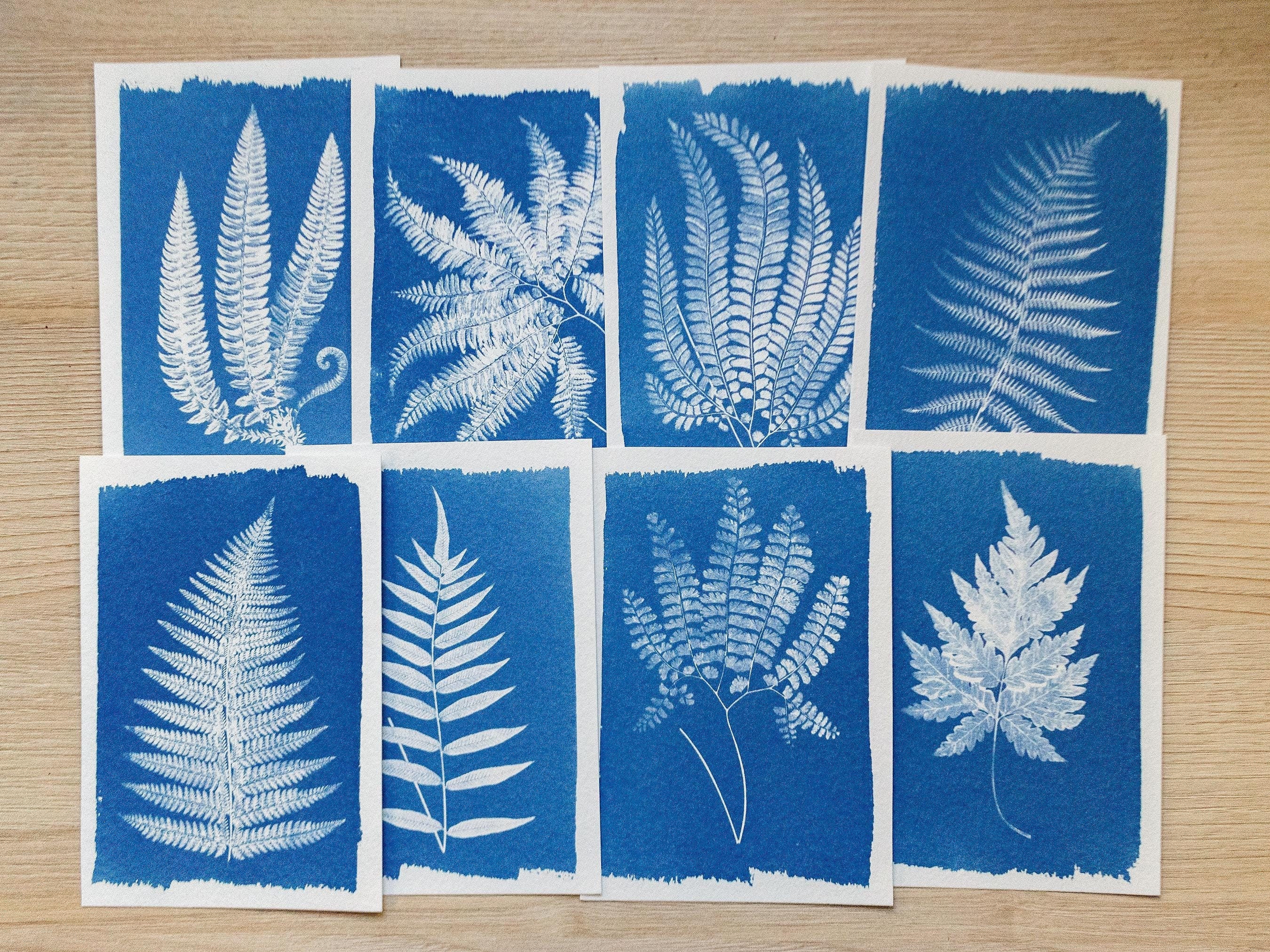Fern Leaf Cyanotype Stencils