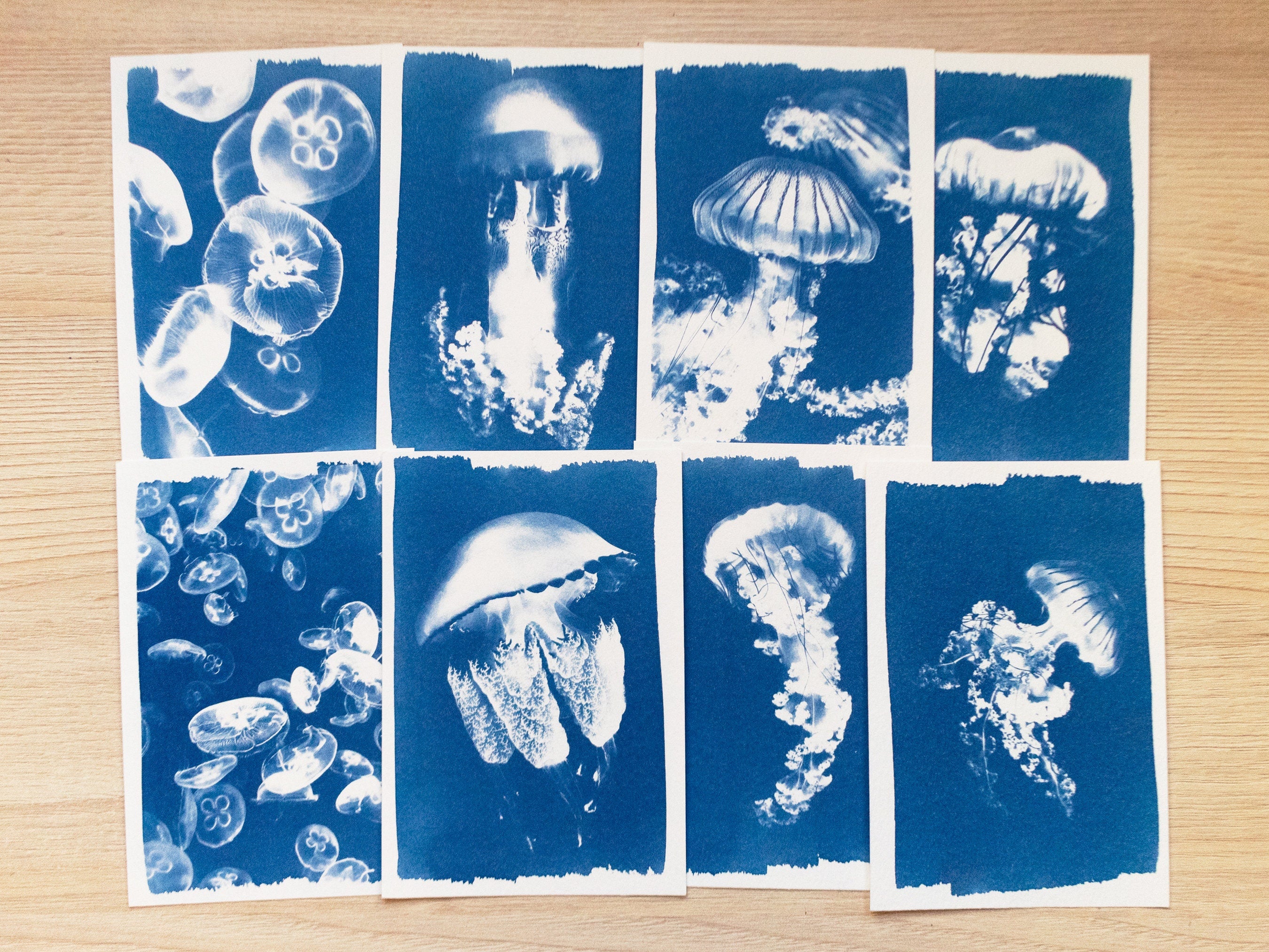 Jellyfish cyanotype prints with stencils