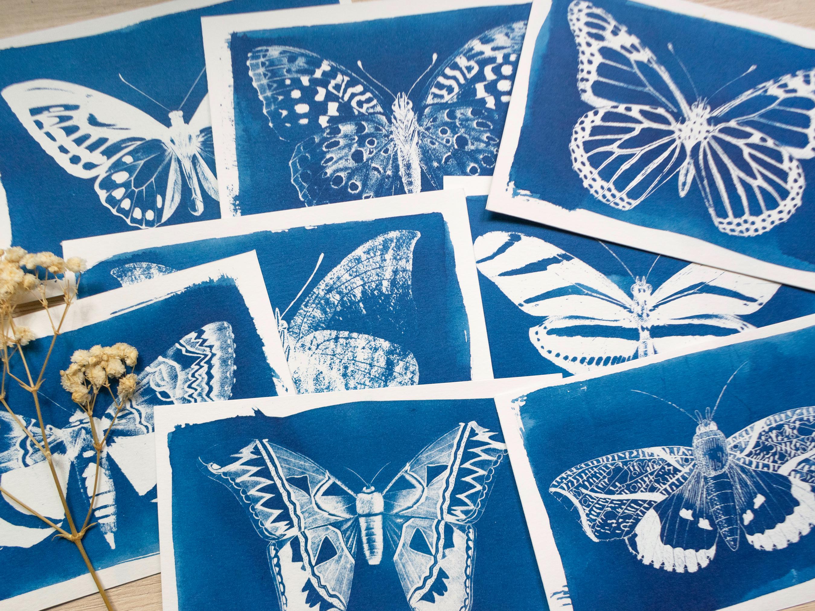 butterfly and moth cyanotype print