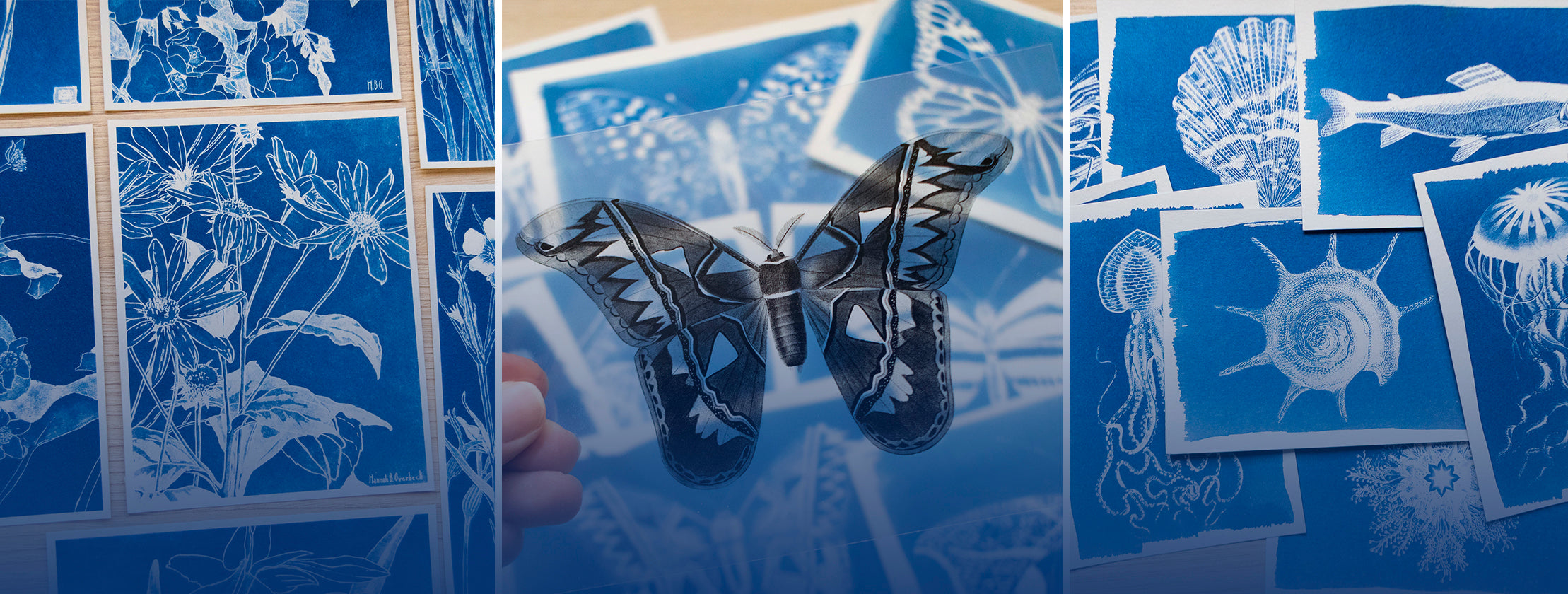 solar printing kits and cyanotype stencils