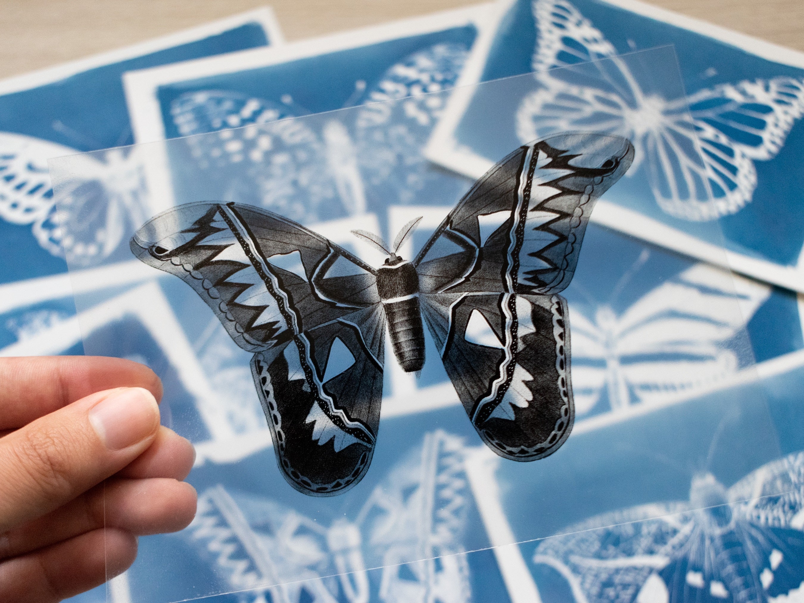 All Cyanotype Stencil Sets
