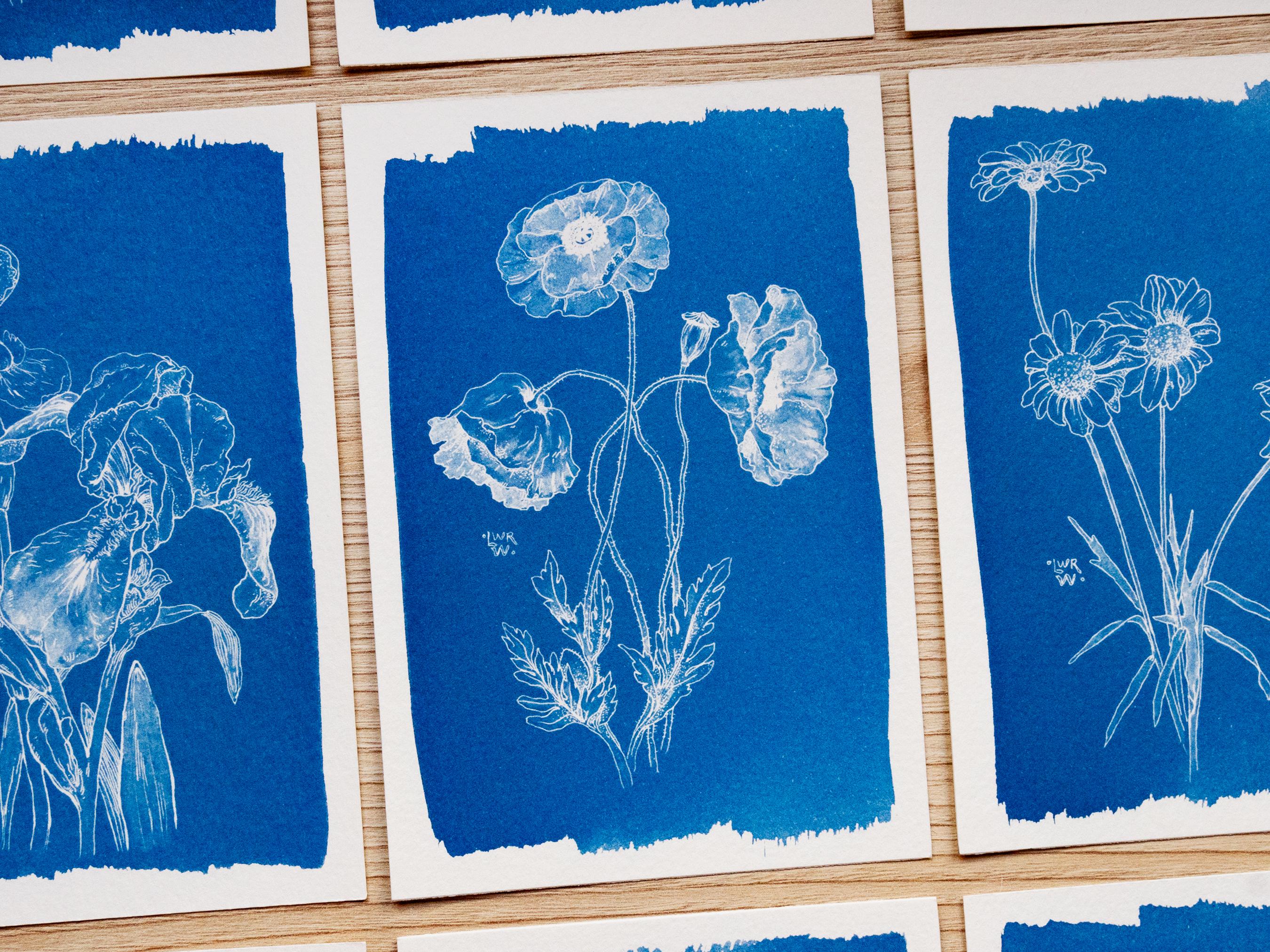 All Floral Cyanotype Stencil Sets