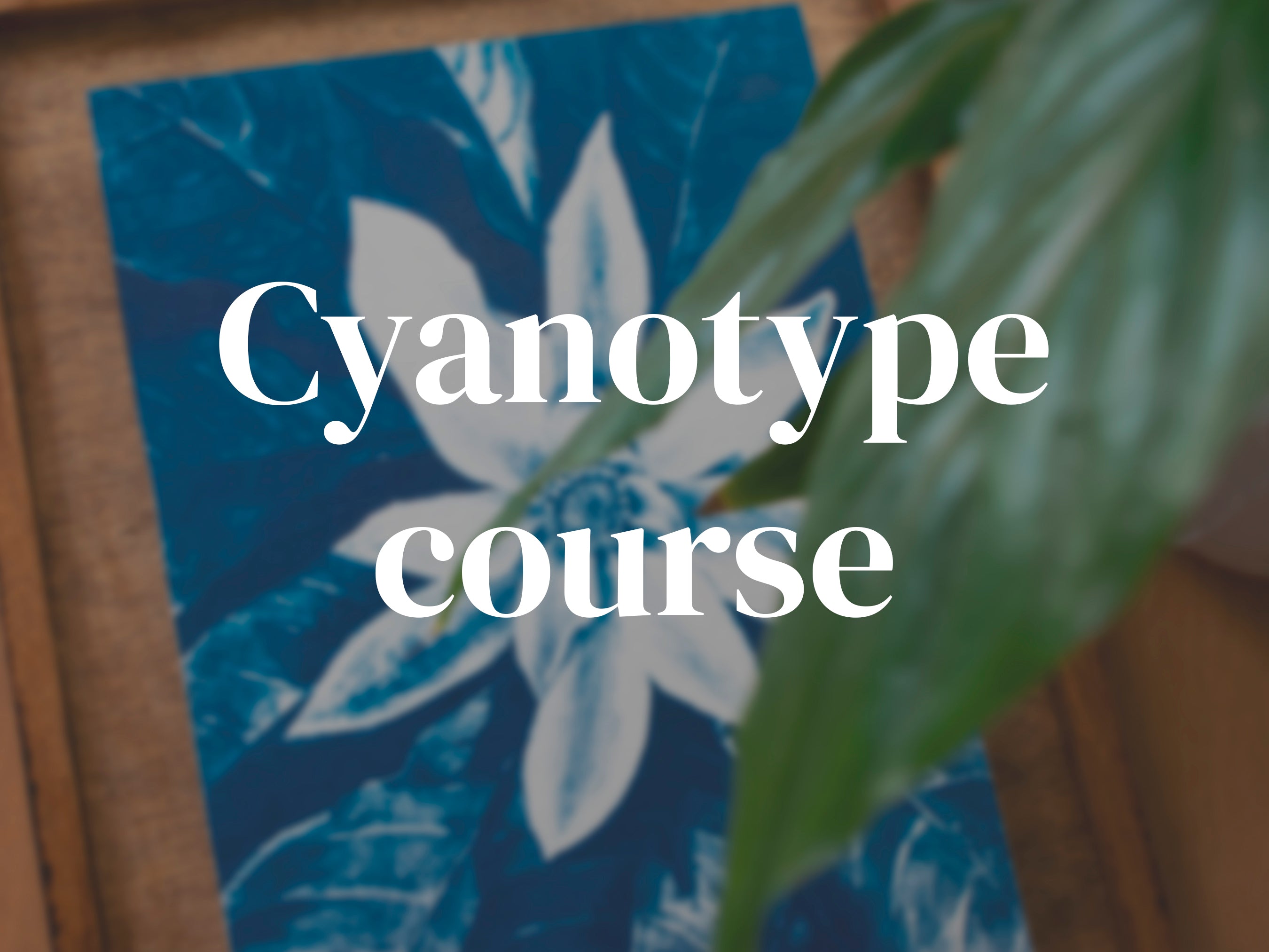 Cyanotype Course: Learn to Create Your Own Cyanotype Prints