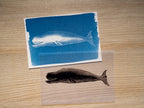 Whales Cyanotype Stencil Set