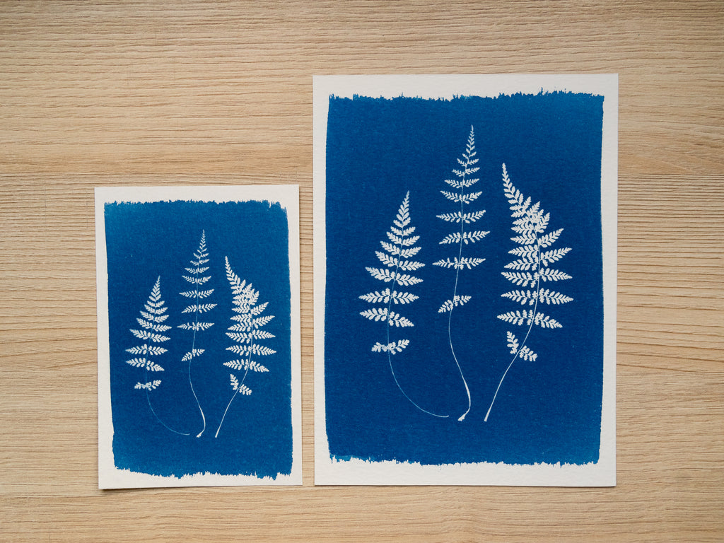 handmade cyanotype print