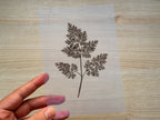 negative for solar printing