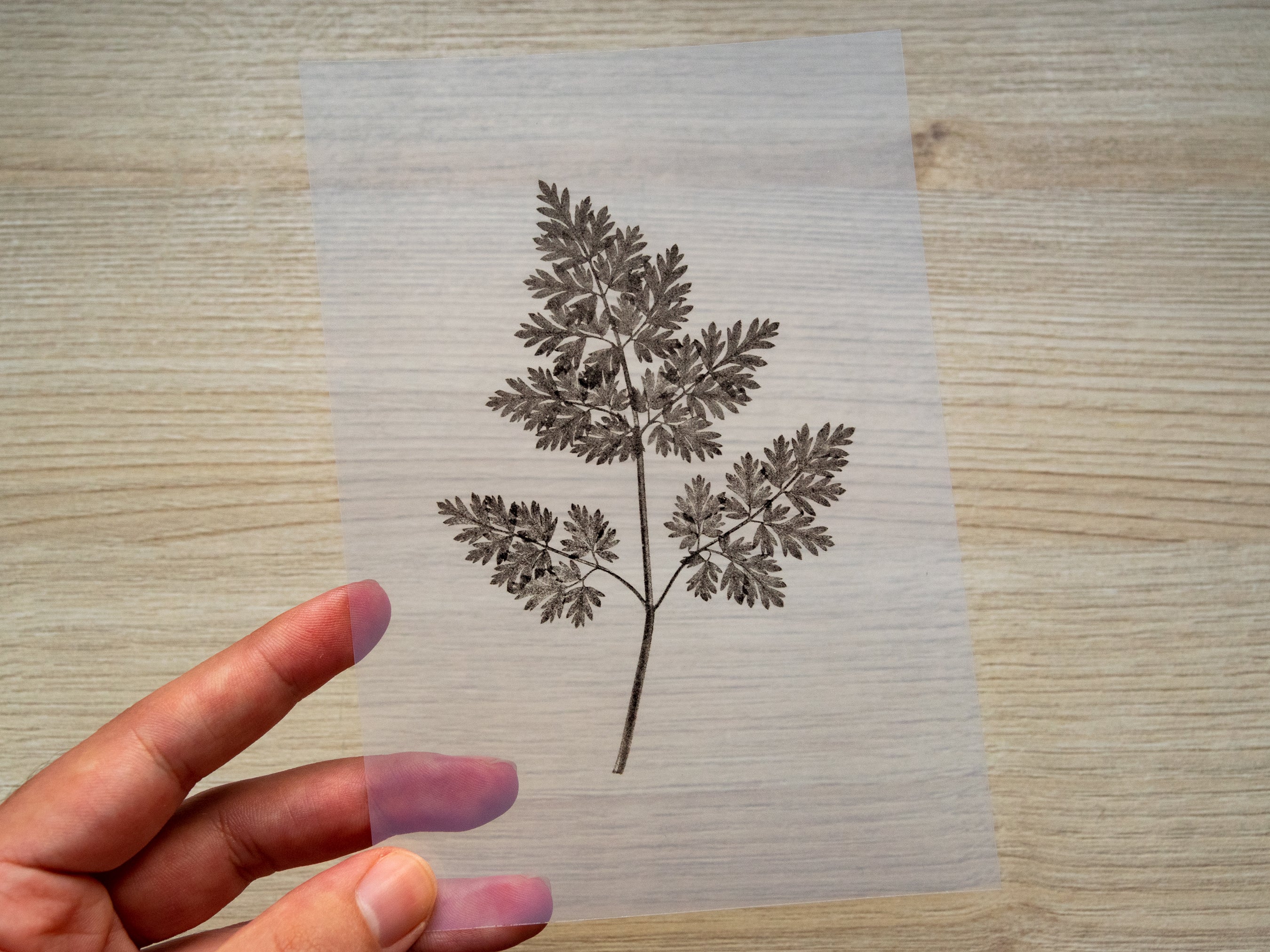 negative for solar printing