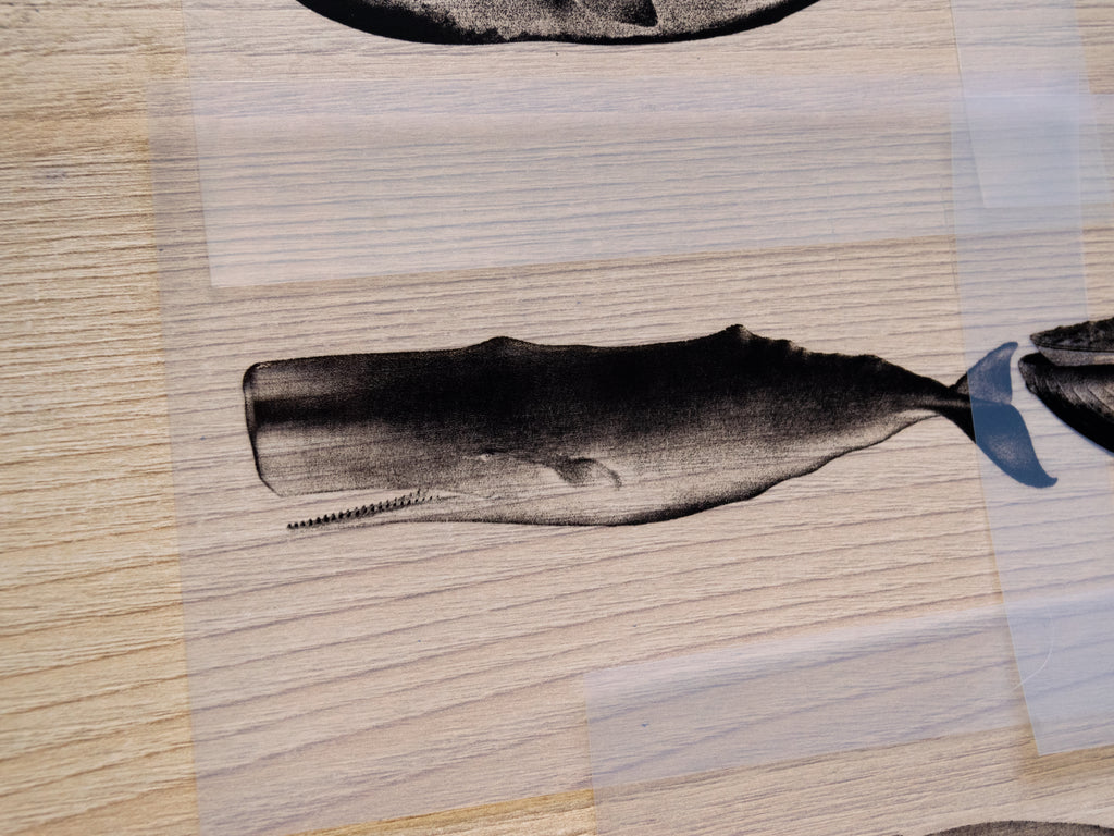 Whales Cyanotype Stencil Set