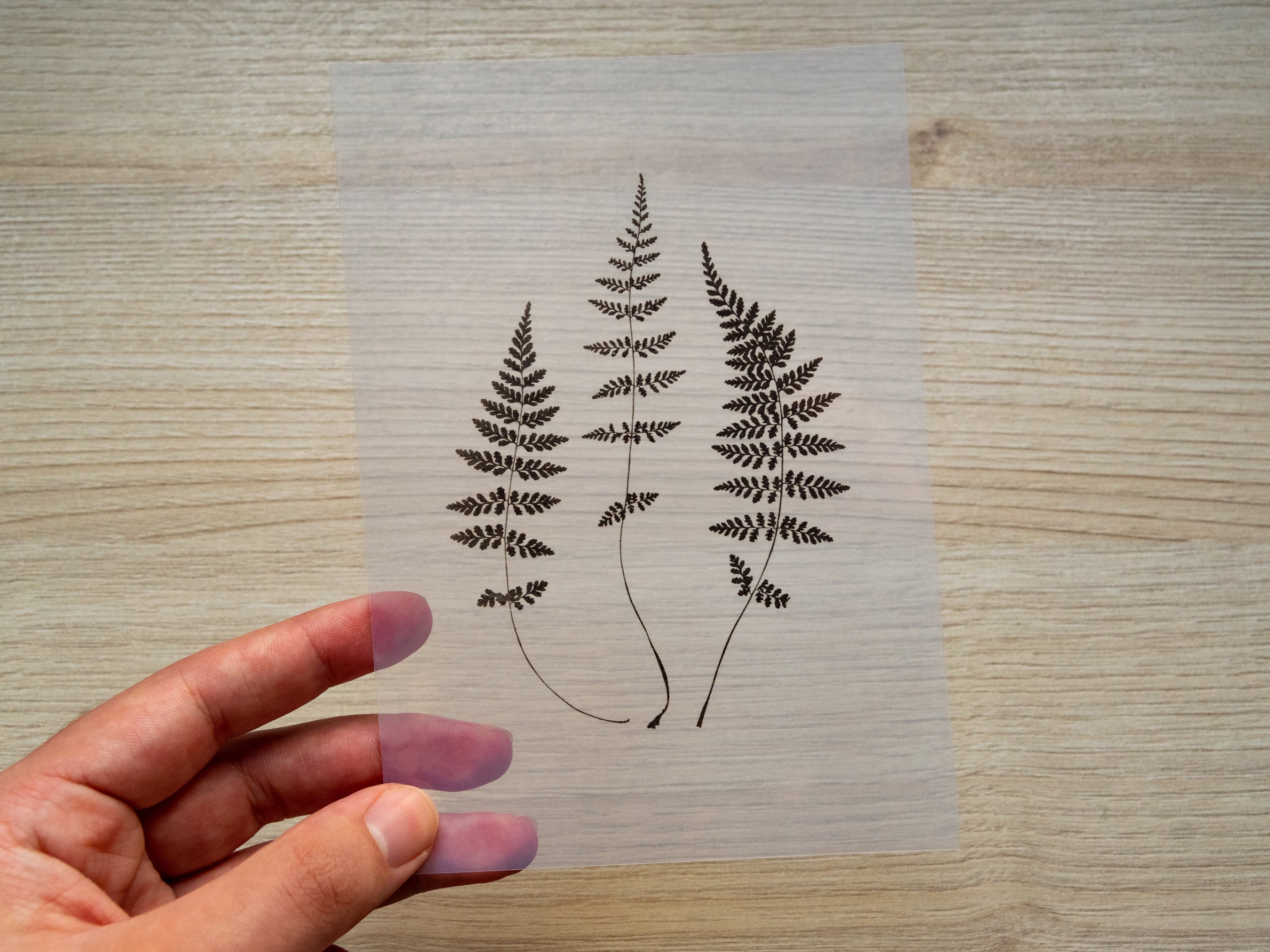 cyanotype stencils