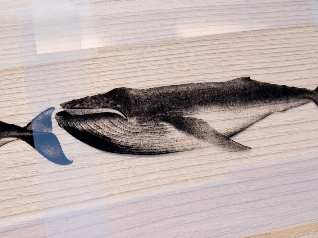 Whales Cyanotype Stencil Set