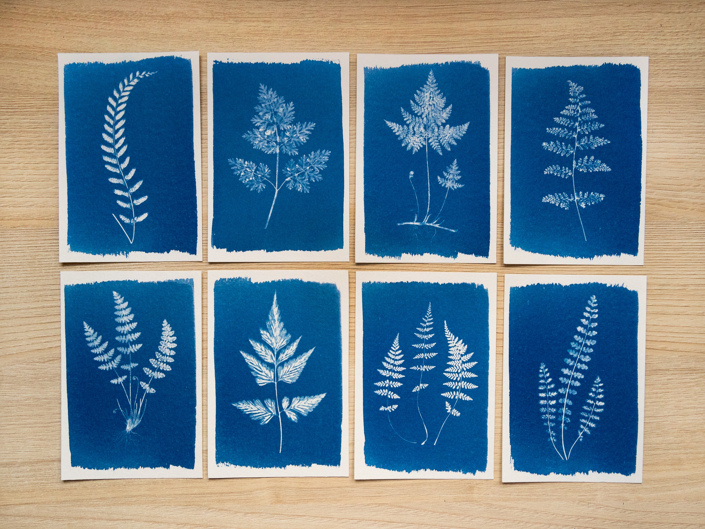 how to make cyanotype stencils