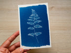 handmade cyanotype print with pressed leaf