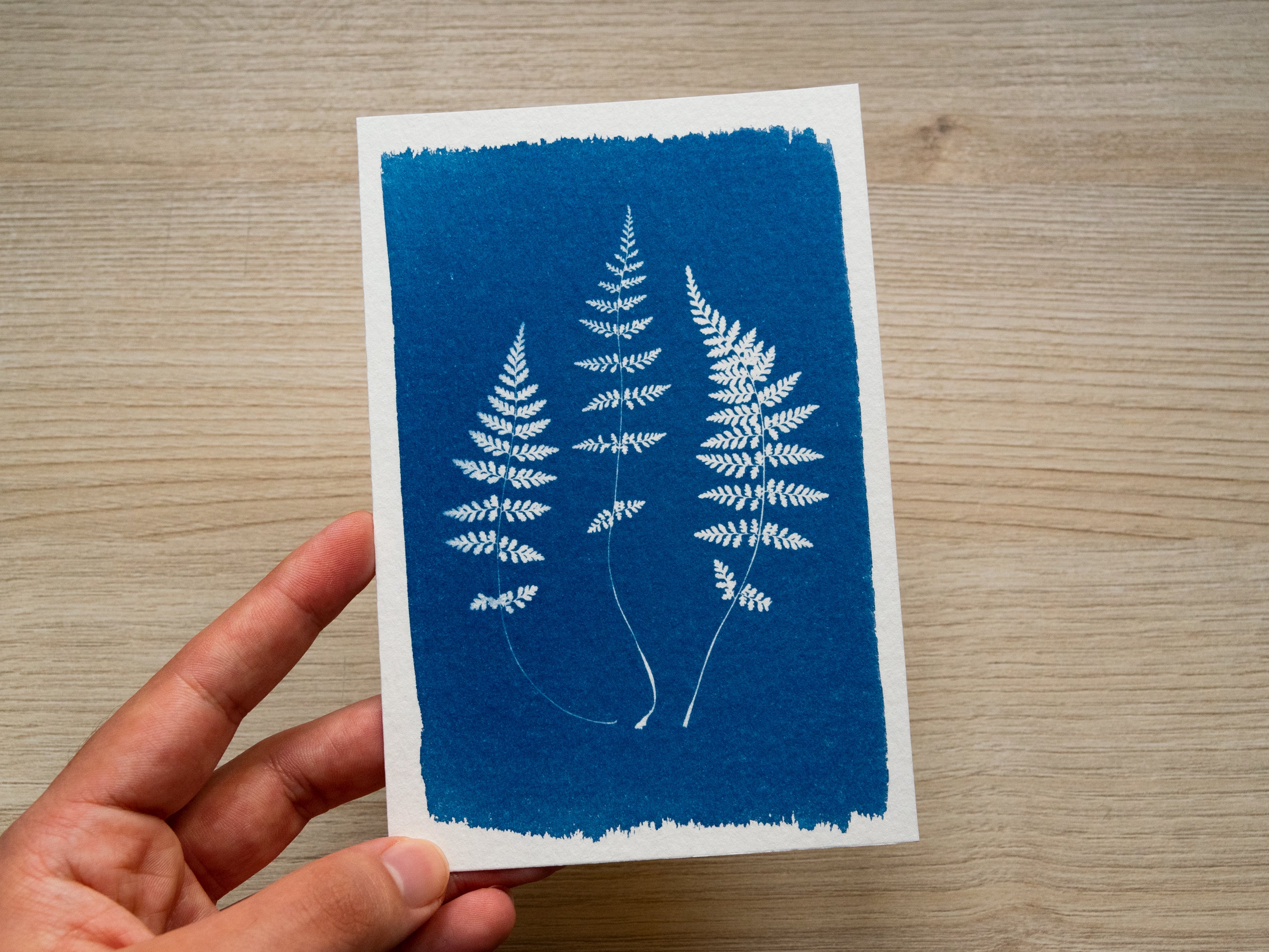 fern leaves stencils
