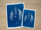 cyanotype craft ideas