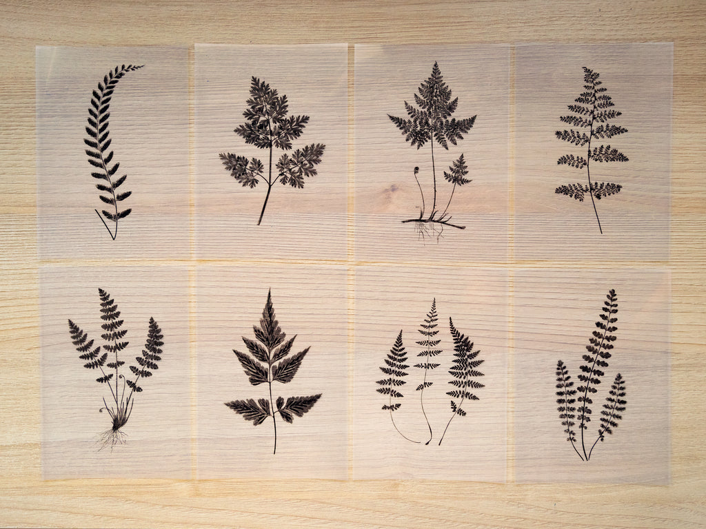 how to make negatives for cyanotype