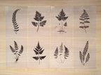 how to make negatives for cyanotype