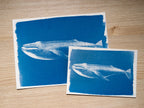 Whales Cyanotype Stencil Set