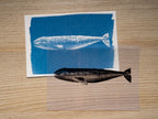 Whales Cyanotype Stencil Set