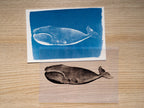 Whales Cyanotype Stencil Set