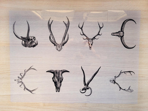 Animal Antlers Cyanotype Stencils for solar printing