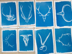 Animal Antlers Cyanotype art