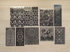 Arabic pattern stencils for solar printing