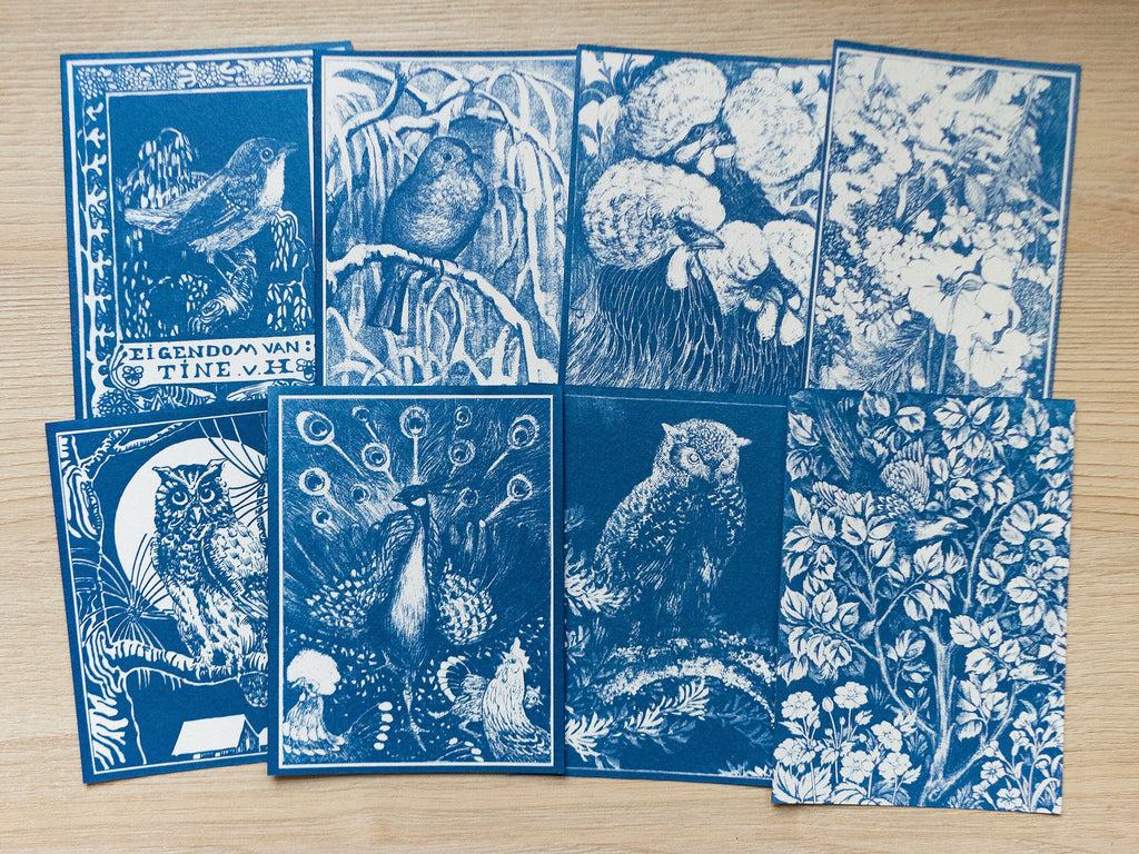 Bird Cyanotype art