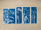 cyanotype stationery