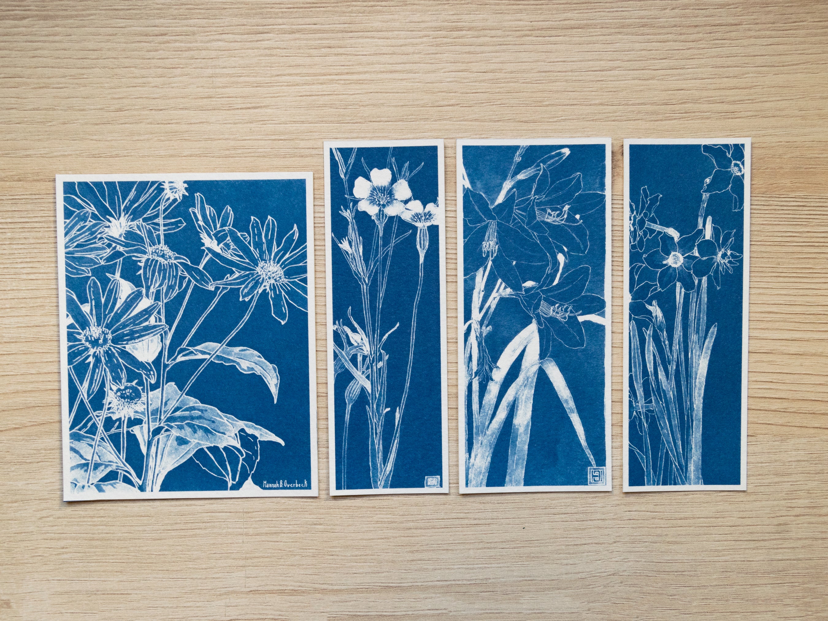 cyanotype stationery