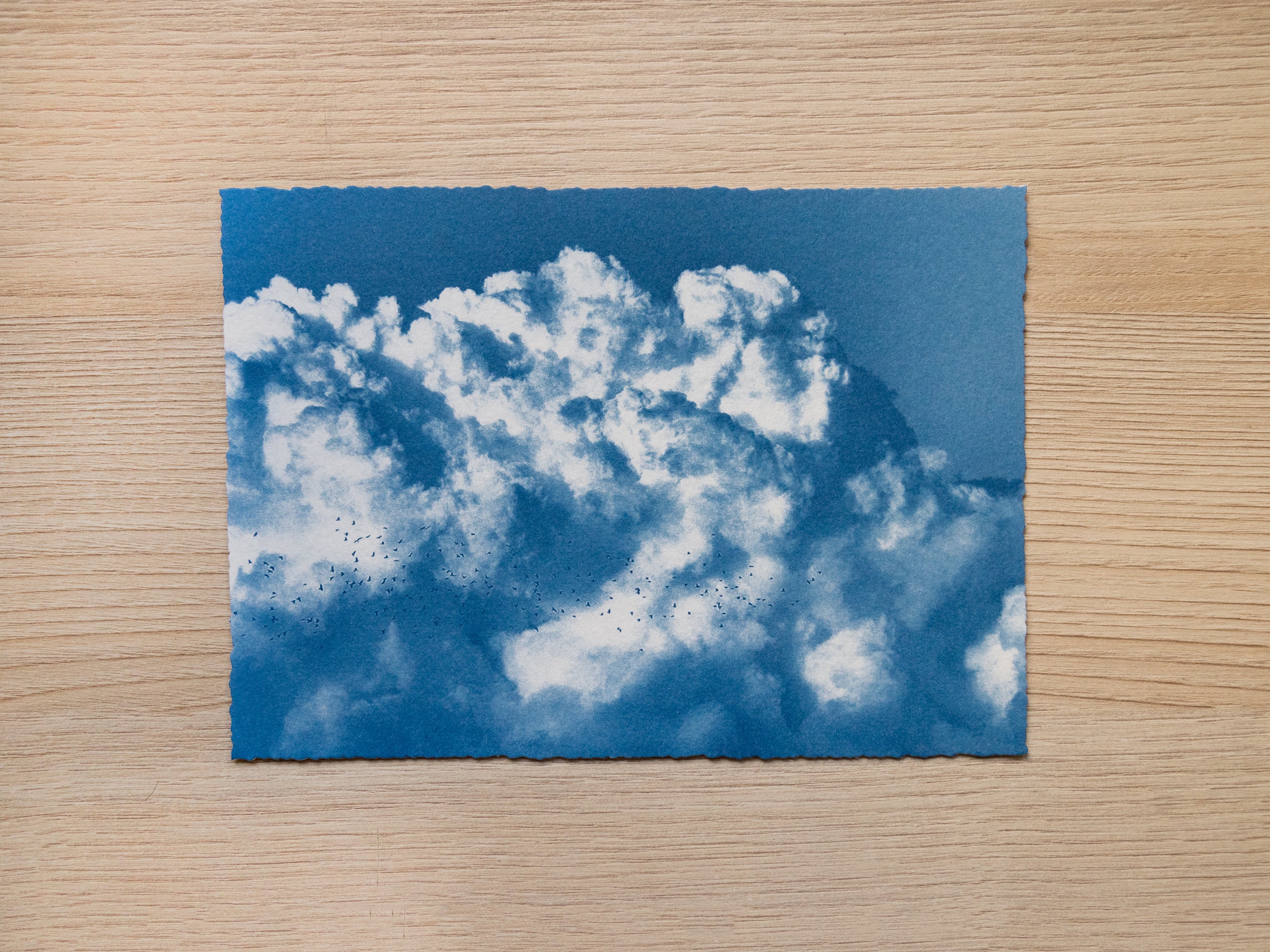 Original cyanotype print, clouds cyanotype art