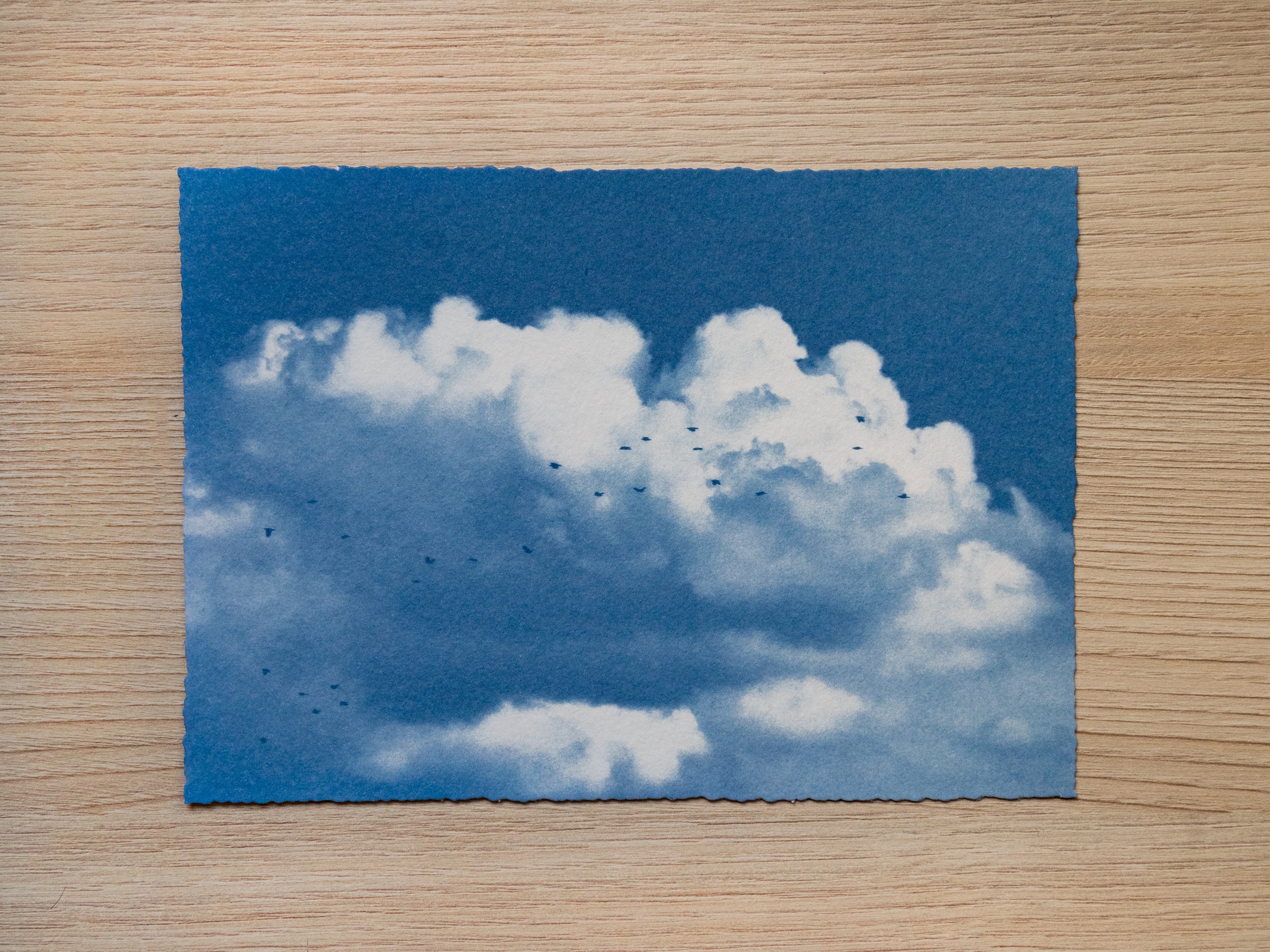 Original cyanotype print, clouds and birds cyanotype art