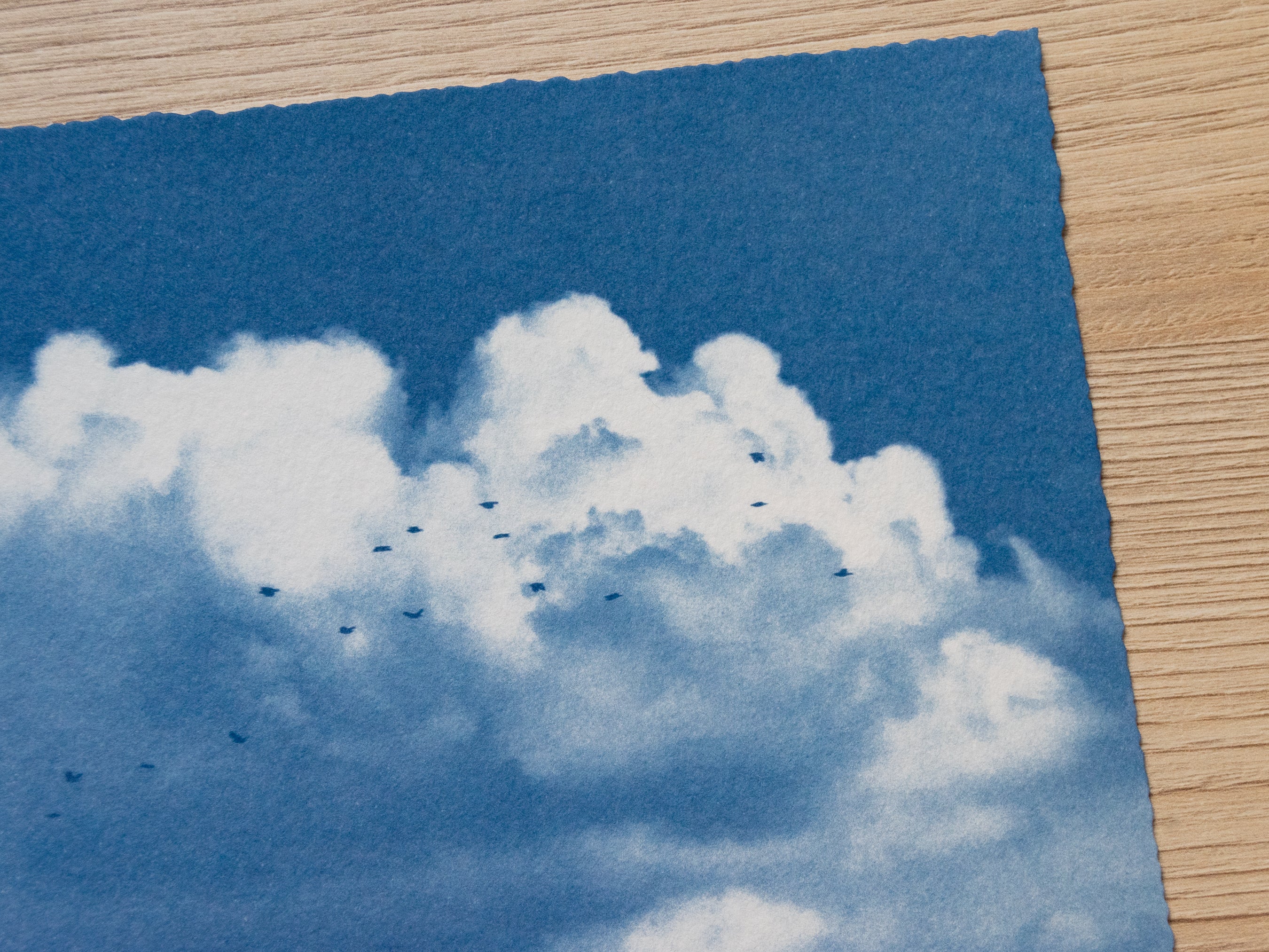 Original cyanotype print, clouds and birds cyanotype art