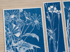 botanical cyanotype art