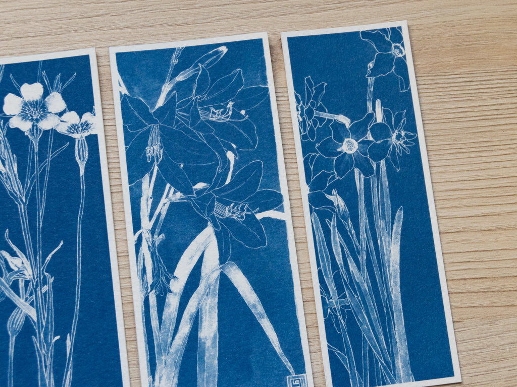 cyanotype print
