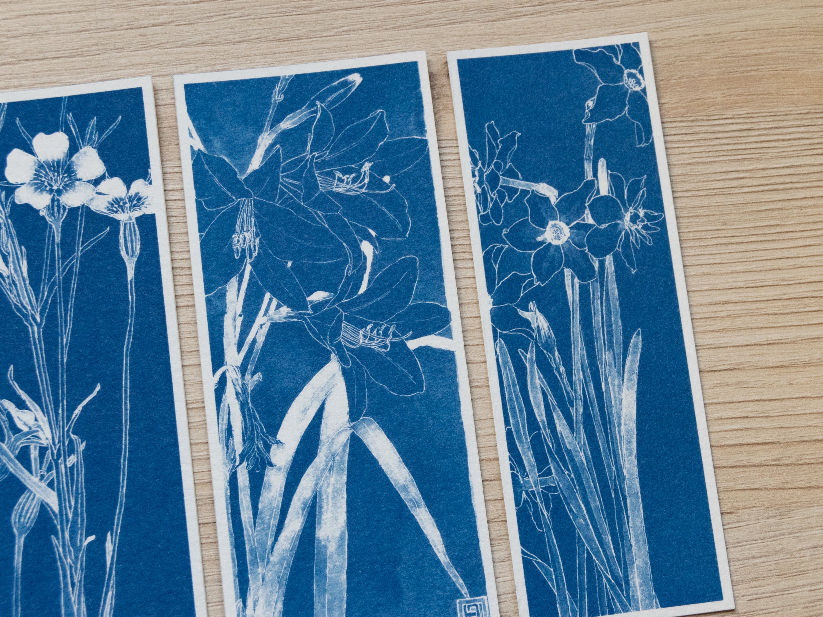 cyanotype print