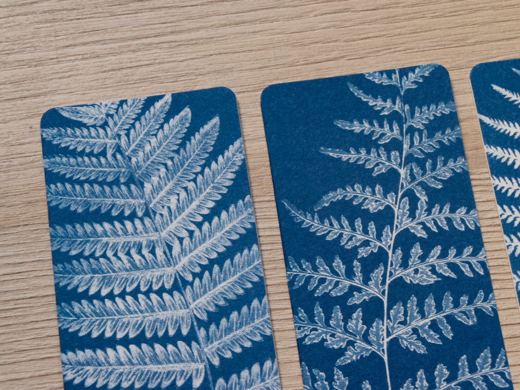 fern leaves cyanotype