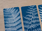 fern leaves cyanotype