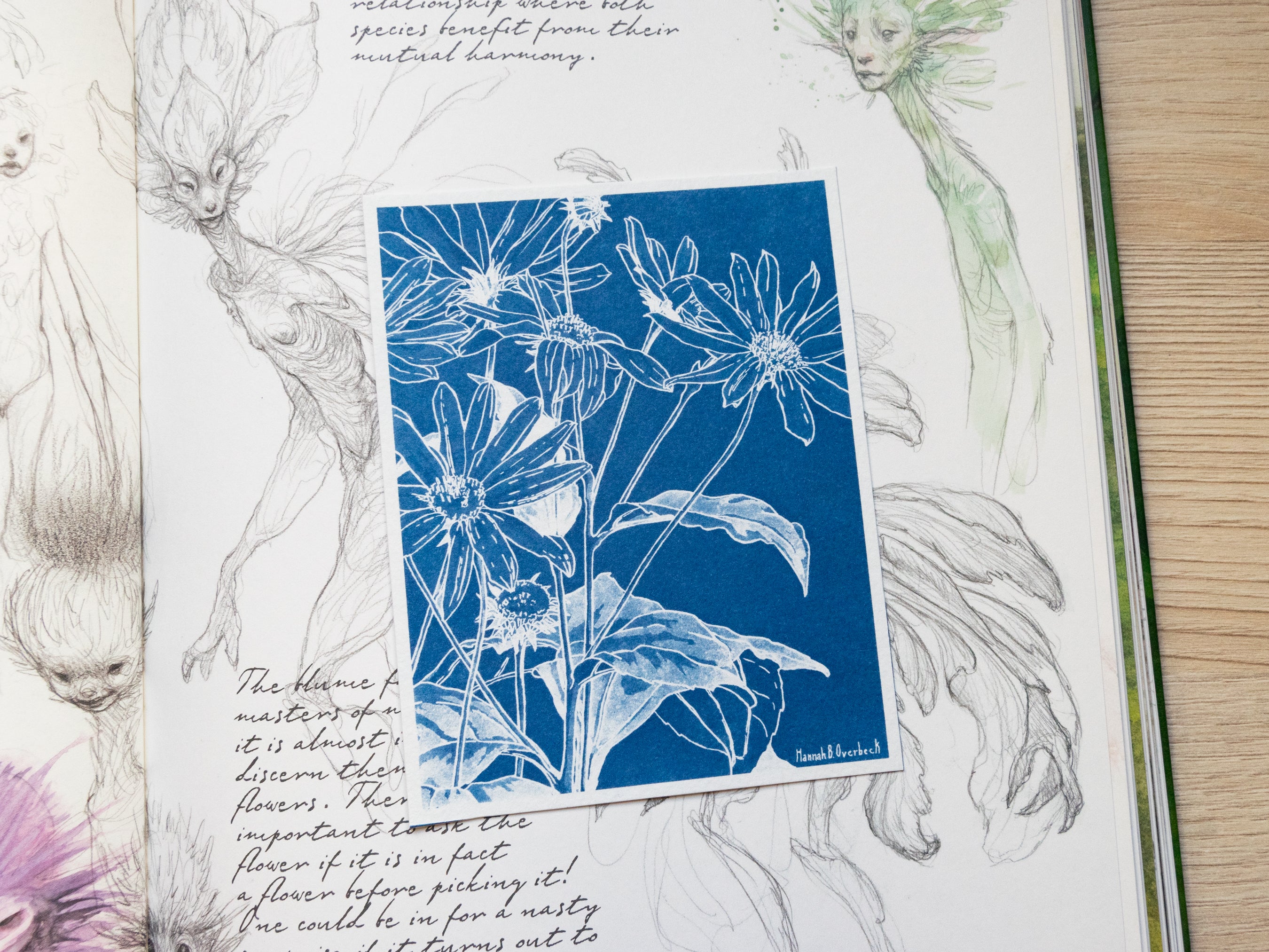 hannah b overbeck bookmarks