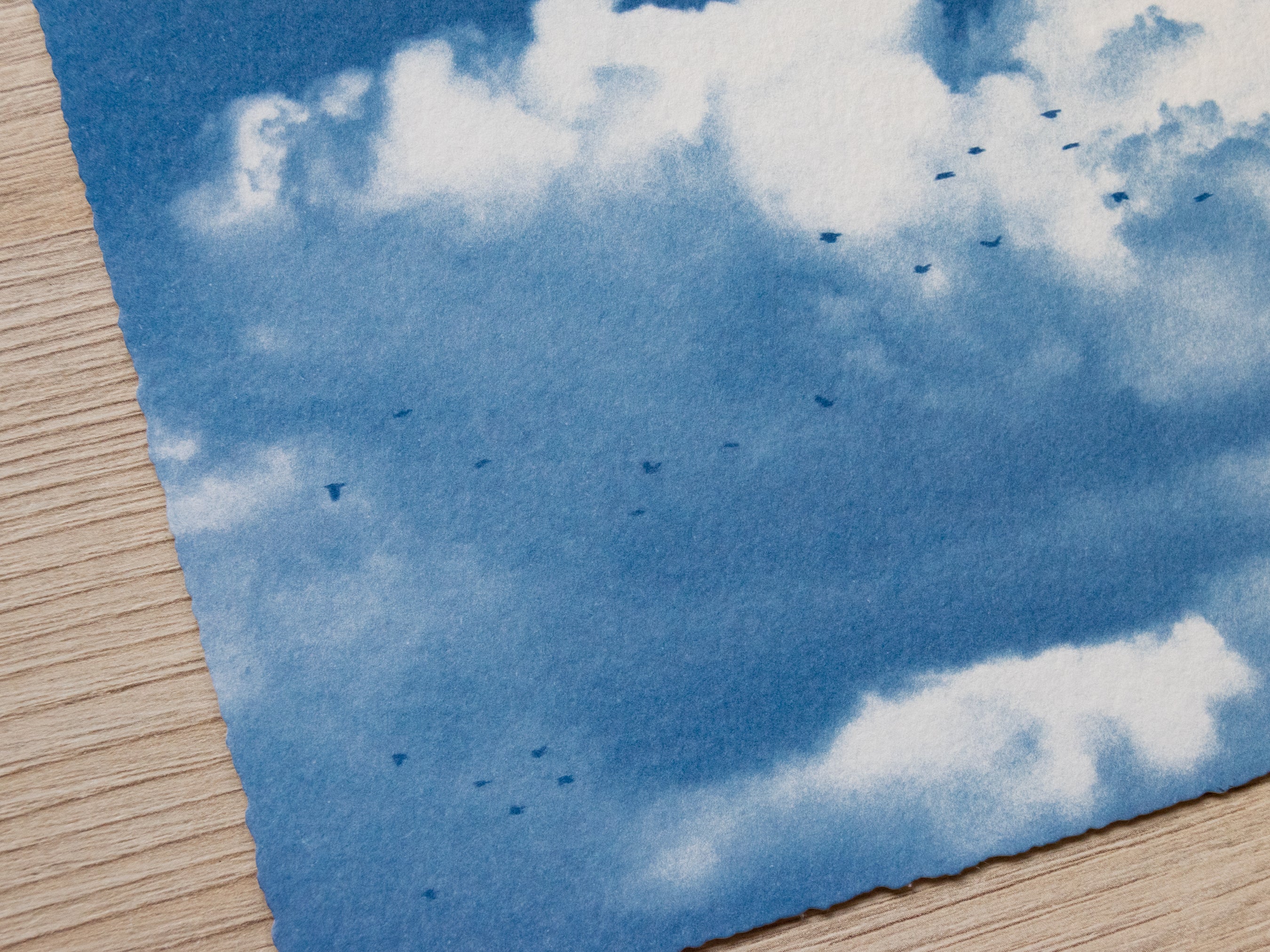 Original cyanotype print, clouds and birds cyanotype art