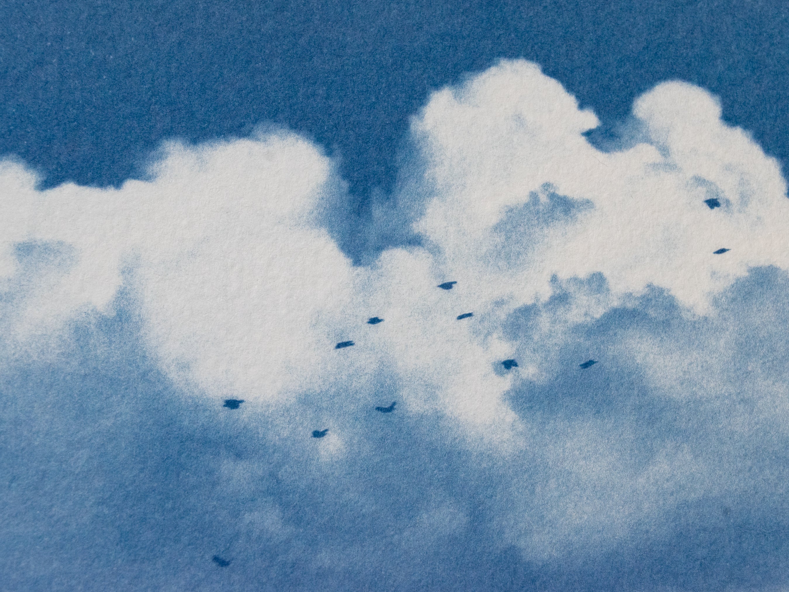 Original cyanotype print, clouds and birds cyanotype art