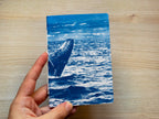 handmade cyanotype notebook