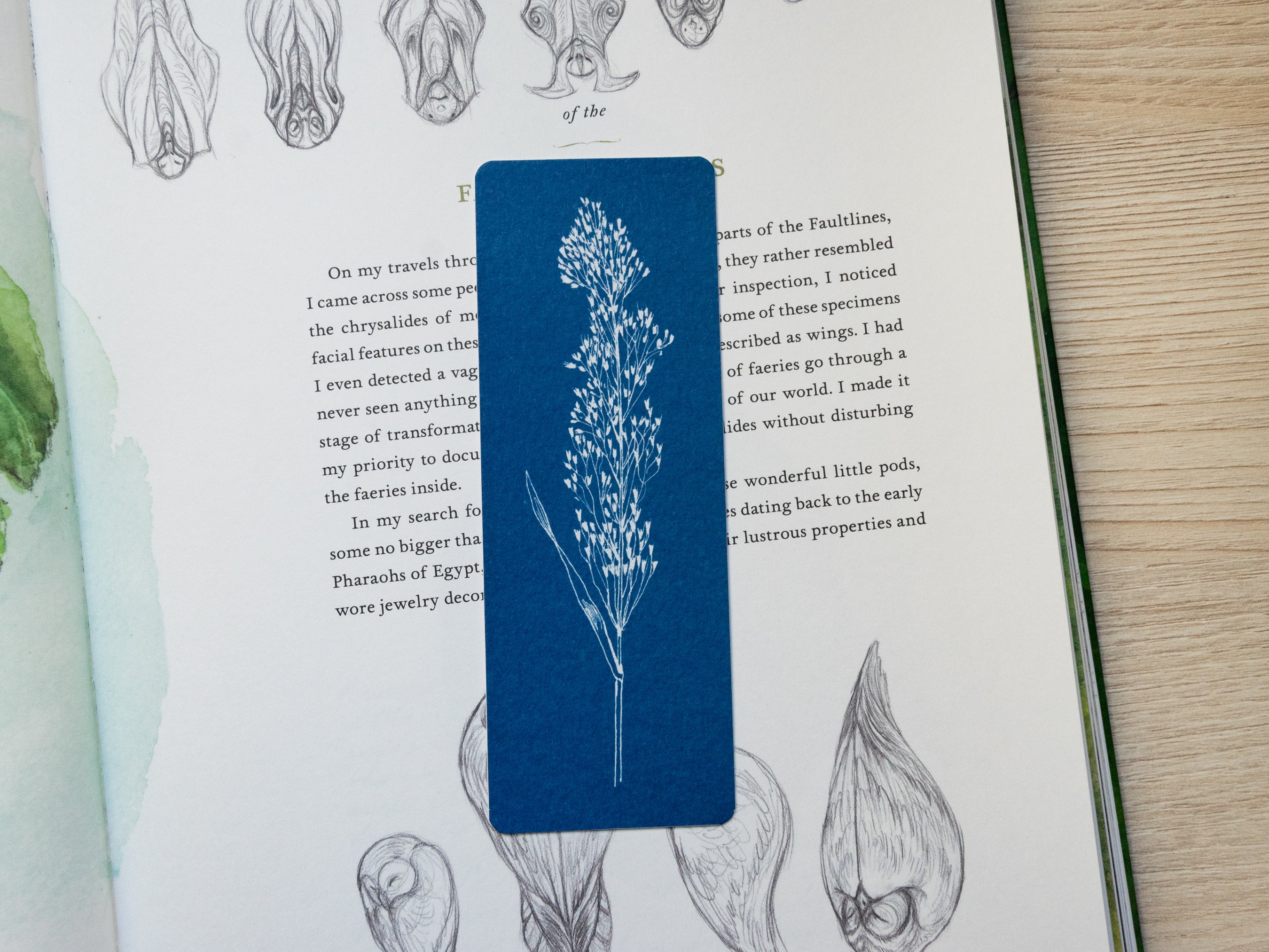 Cyanotypie-Lesezeichen, gepresste Blumen