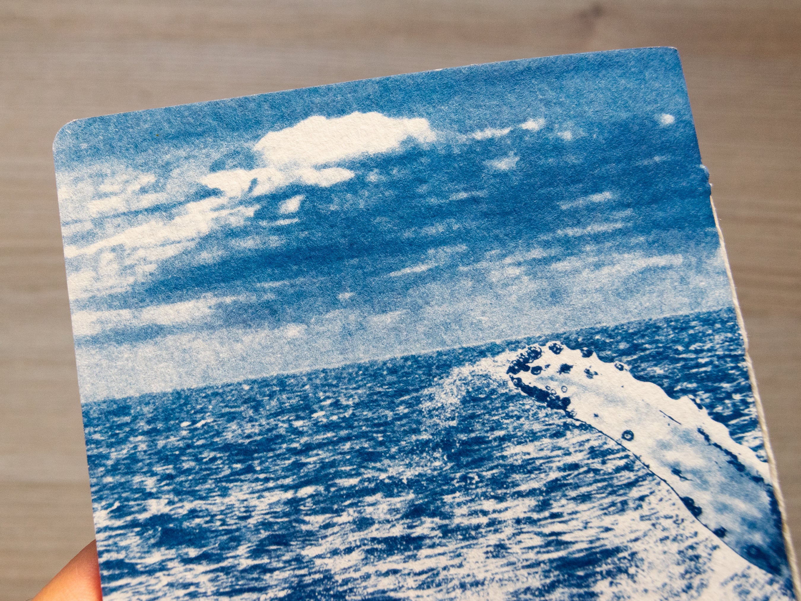 Libreta hecha a mano con cianotipia | Ballena en océano