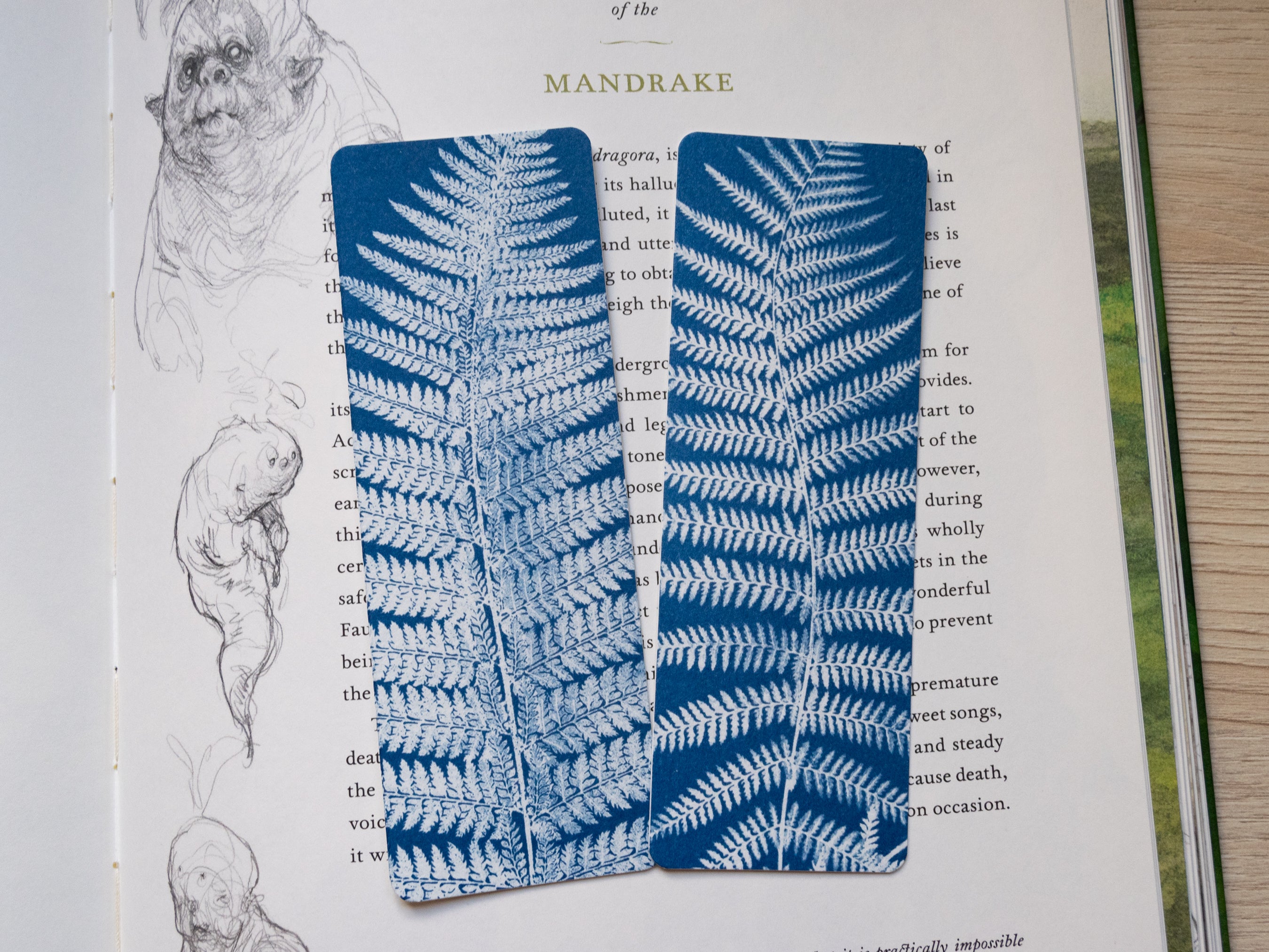 Cyanotypie-Lesezeichen, Muster aus Eisenblättern