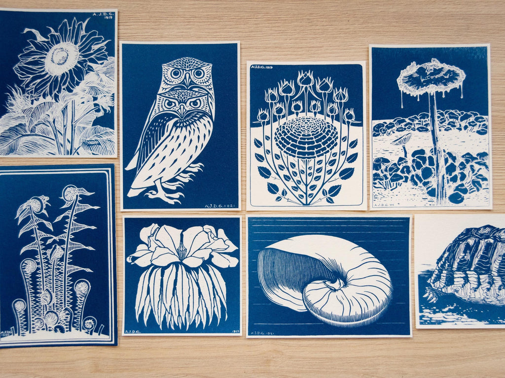 Cyanotype Prints of Julie de Graag’s Artwork