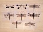 Dragonflies Cyanotype Stencil Set