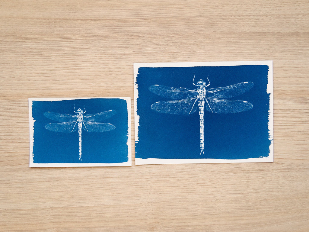 Dragonflies cyanotype art