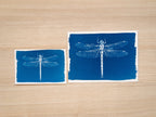 Dragonflies cyanotype art