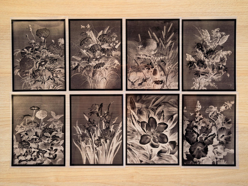 Ellen Thayer Fisher Botanical Art Cyanotype Stencils for cyanotype